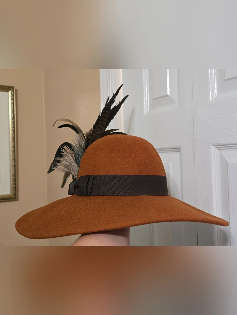 Wide Brim Feather Accent Wool Hat - Rust Brown